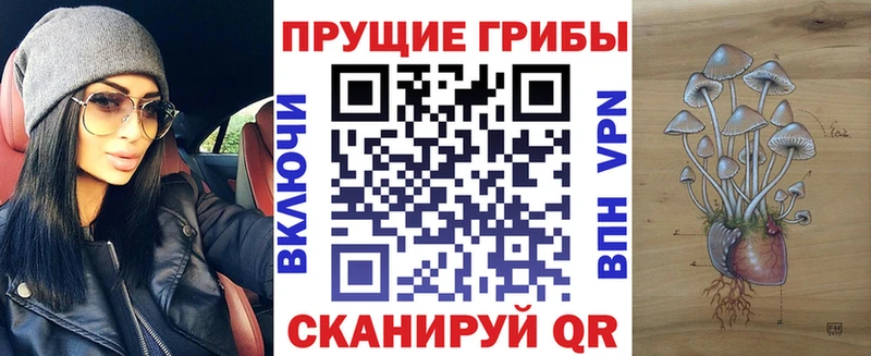 Псилоцибиновые грибы мицелий  где продают   Мамадыш 
